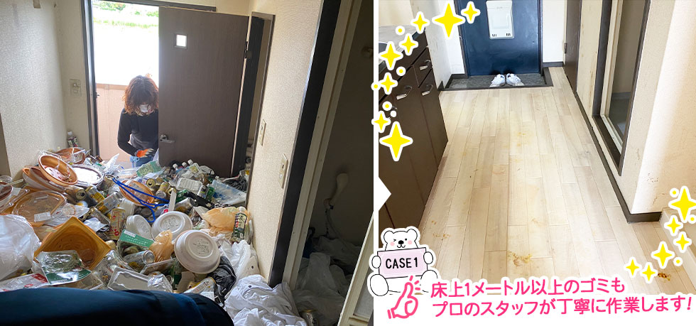 愛知のゴミ屋敷・汚部屋片付け・掃除のクリーン138の作業例1