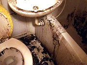 三重県亀山市の汚部屋の浴室の清掃・クリーニング