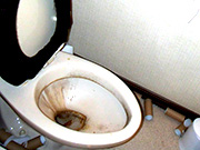 静岡県御前崎市のトイレ・洗面の清掃・クリーニング
