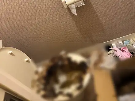 愛知県弥富市のお宅のトイレクリーニング作業前
